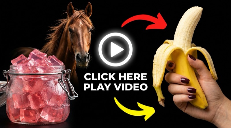 The Weird Gelatin Horse Trick